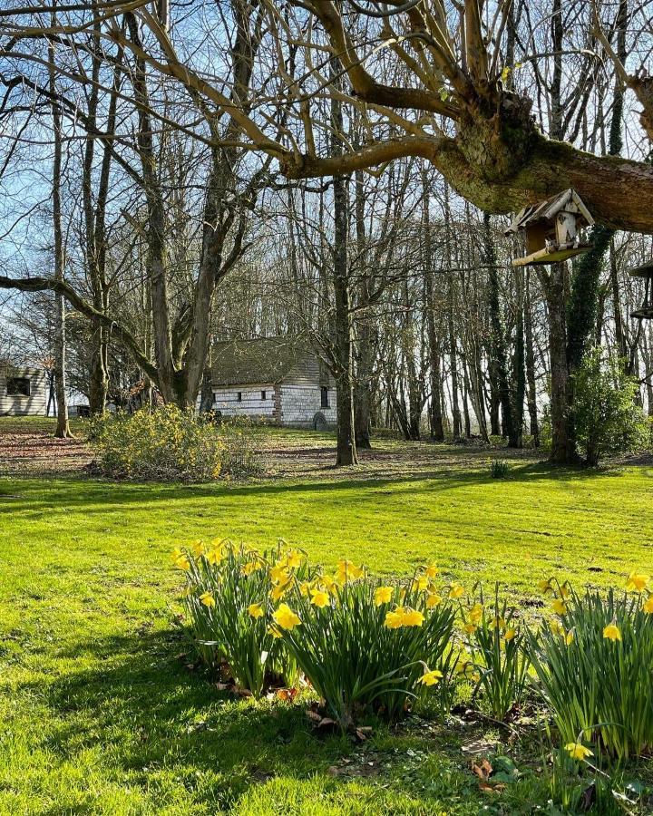 Bed and Breakfast Domaine De Fresnoy Loison-sur-Créquoise Exterior foto