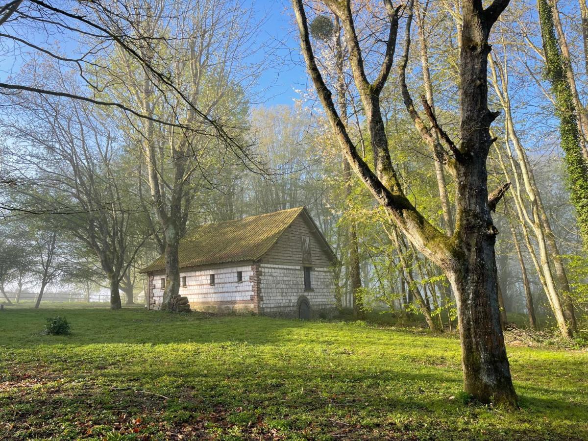 Bed and Breakfast Domaine De Fresnoy Loison-sur-Créquoise Exterior foto